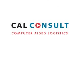 Cal Consult Logo